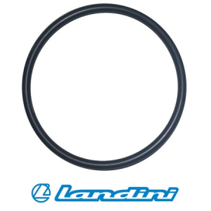 Landini&McCormick Büyük Beyin Oringi (Rex,Powerfarm) -3673222M1 