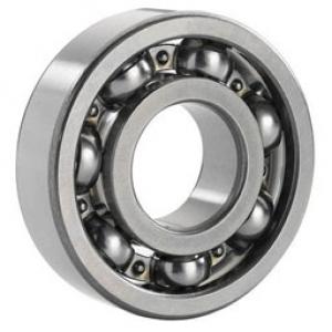 6009 Newholland Rulman Ors