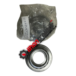 027349 Carraro Şanzıman 31307 Rulman