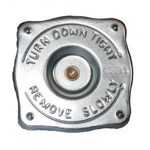 83935905 Newholland Radyatör Kapağı 013 PSI